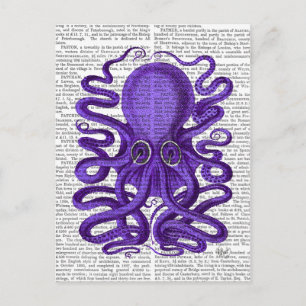 Carte Postale Octopus pourpre