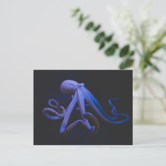 Carte Postale Octopus pourpre (Debout devant)