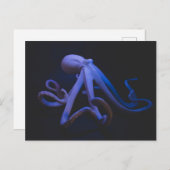 Carte Postale Octopus pourpre (Devant / Derrière)