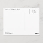 Carte Postale Octopus Tree, Cape Meares, Oregon (Dos)