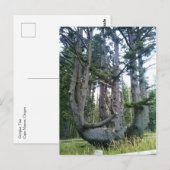Carte Postale Octopus Tree, Cape Meares, Oregon (Devant / Derrière)