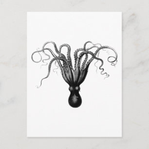 CARTE POSTALE OCTOPUS vintage