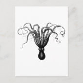CARTE POSTALE OCTOPUS vintage (Devant)