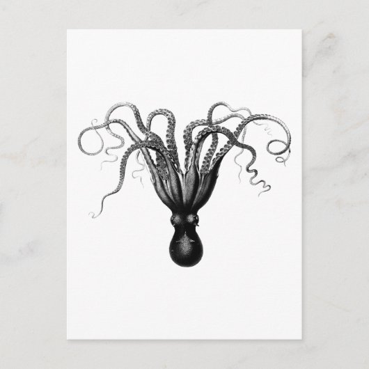 CARTE POSTALE OCTOPUS vintage (Devant)