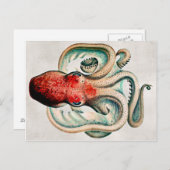 Carte postale Octopus vintage (Devant / Derrière)