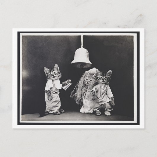 Carte postale Oddity Vintage Mariage Chat (Devant)