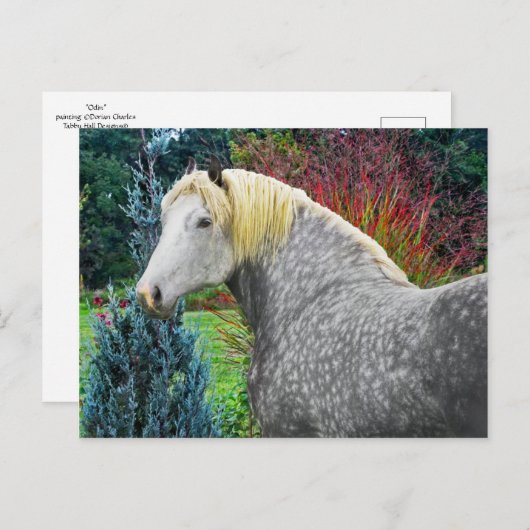 Carte Postale "Odin" (Devant / Derrière)