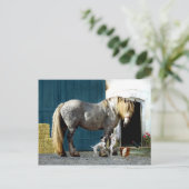 Carte Postale "Odin & The Twins" (Debout devant)