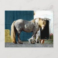 Carte Postale "Odin & The Twins"