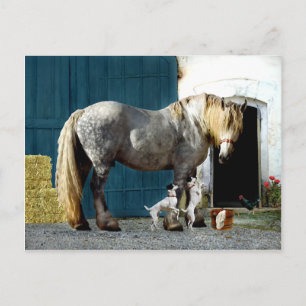 Carte Postale "Odin & The Twins"