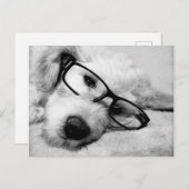 Carte Postale Odoré Avec Lunettes (Devant / Derrière)