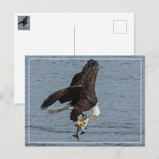 Carte Postale Oeil à oeil (Devant / Derrière)