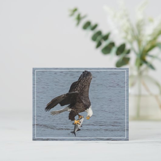 Carte Postale Oeil à oeil (Debout devant)