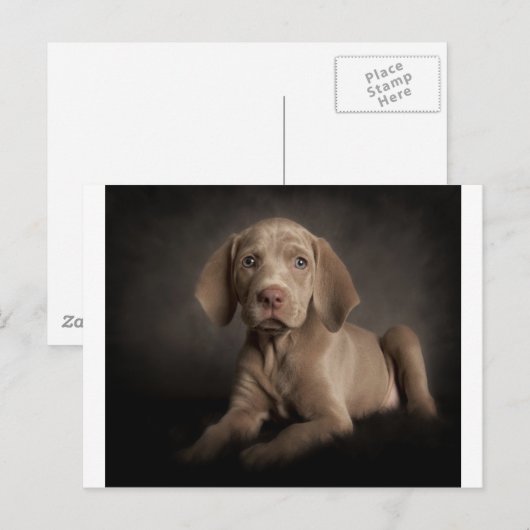 Carte Postale Oeil bleu (Devant / Derrière)