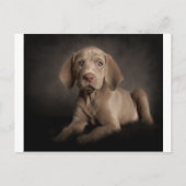 Carte Postale Oeil bleu (Devant)