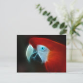 Carte Postale Oeil bleu de perroquet fractal rouge (Debout devant)