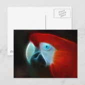 Carte Postale Oeil bleu de perroquet fractal rouge (Devant / Derrière)