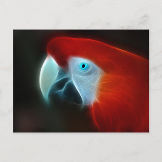Carte Postale Oeil bleu de perroquet fractal rouge (Devant)