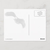 Carte Postale Oeil d'aigle (Dos)