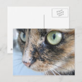 Carte Postale Oeil de chat (Devant / Derrière)