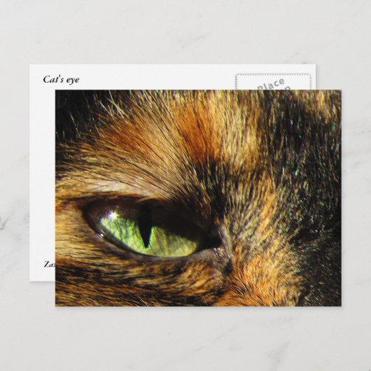 Carte Postale Oeil de chat (Devant / Derrière)