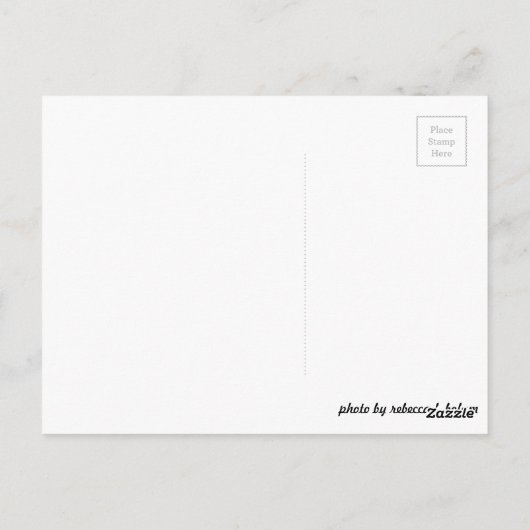 Carte postale oeil de chat (Dos)