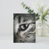 Carte Postale Oeil de chat artistique (Debout devant)