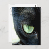 Carte Postale Oeil de chat noir (Devant / Derrière)