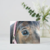 Carte Postale Œil de cheval (Debout devant)