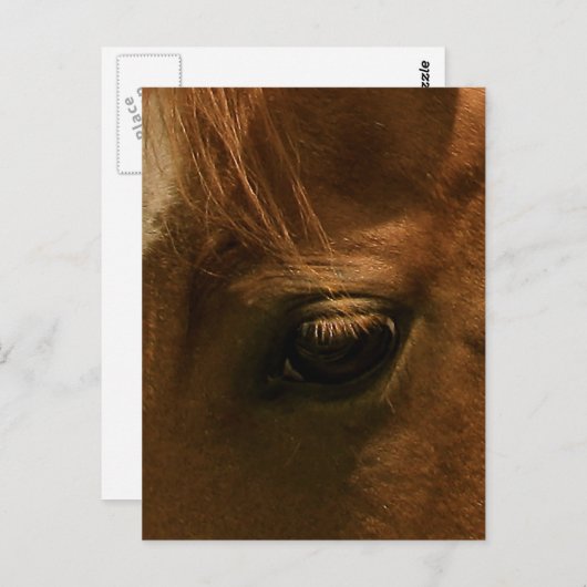 Carte Postale Oeil de cheval âeux (Devant / Derrière)