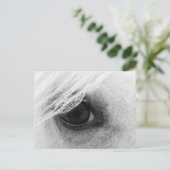 Carte Postale Oeil de cheval en noir et blanc (Debout devant)