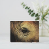 Carte Postale Oeil de cheval noir (Debout devant)
