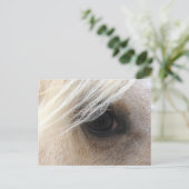Carte Postale Oeil de cheval Palomino (Debout devant)