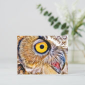 Carte Postale Oeil de hibou (Debout devant)