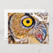 Carte Postale Oeil de hibou (Devant / Derrière)