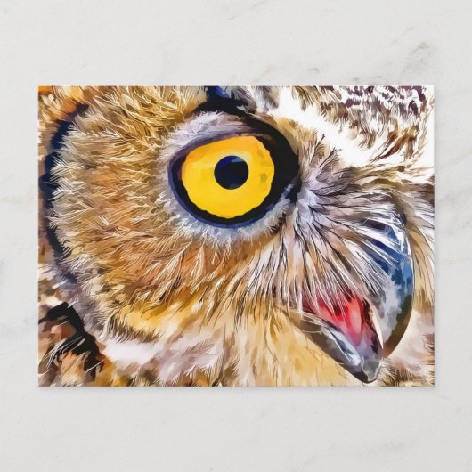 Carte Postale Oeil de hibou (Devant)