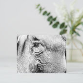 Carte Postale Oeil des éléphants, 2017 (Debout devant)