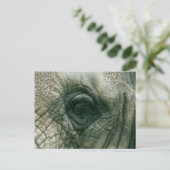Carte Postale Oeil éléphant (Debout devant)