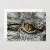 Carte Postale Oeil jaune effrayant de crocodile (Devant / Derrière)