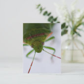 Carte postale Oeil puant (Debout devant)