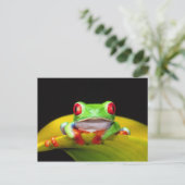 Carte Postale Oeil rouge Treefrog, Agalychinis callidryas, autoc (Debout devant)