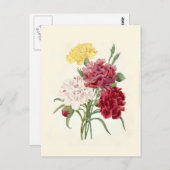 Carte Postale Oeillets de Pierre-Joseph Redouté (Devant / Derrière)