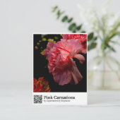 Carte Postale Œillets roses (Debout devant)