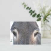 Carte Postale OEils Donkey (Debout devant)
