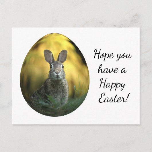 Carte Postale Oeuf De Pâques Avec Lapin (Devant)