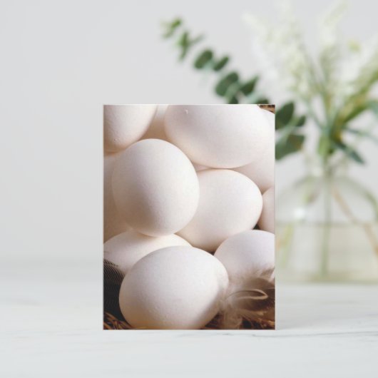 Carte Postale Oeufs (Debout devant)