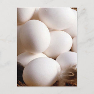 Carte Postale Oeufs