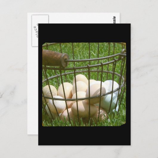 Carte Postale Oeufs (Devant / Derrière)