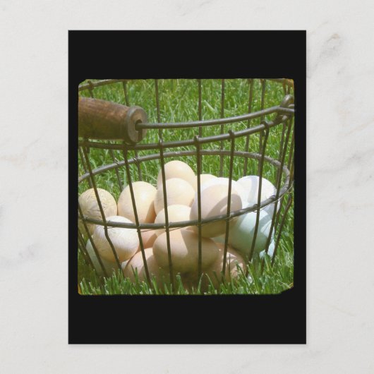 Carte Postale Oeufs (Devant)