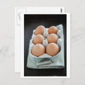 Carte Postale Oeufs (Devant / Derrière)